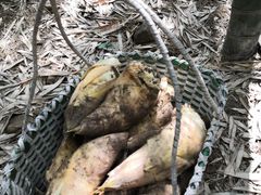 -众神白水涧景区