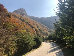 -少华山国家森林公园
