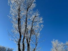 -中旅松花湖滑雪场