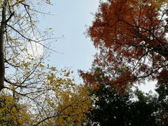 -兰溪青年公园