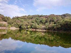-广州市石门国家森林公园