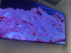 -犇鼎牛潮汕牛肉火锅(新辰里学清路店)