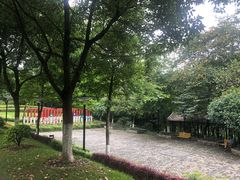 -重庆彩云湖湿地公园