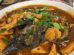-遇见小院—虹鳟鱼•农家菜(怀柔店)