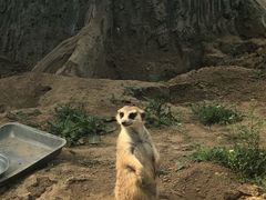 -临沂动植物园