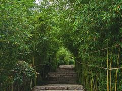 -竹子庵公园