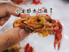 蒜蓉大虾-虎虎龙虾大排档(双井店)