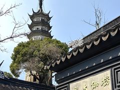-苏州上方山国家森林公园