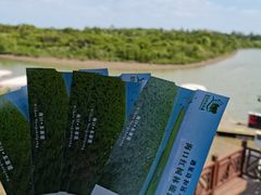 -东寨港红树林旅游区