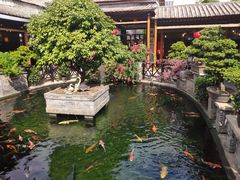 -猪肉婆私房菜(容桂总店)