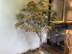 -汤宴·参须肚包鸡(南京路店)