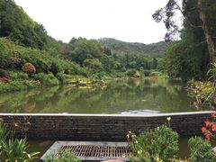 -深圳仙湖植物园