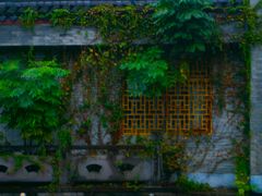 -南塘油赞子(南塘店)