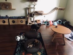 -Meowの猫咖(万家丽店)