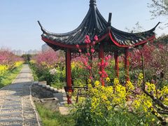 -南汇桃花村