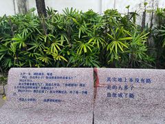 -广州鲁迅纪念馆(国民党一大旧址)