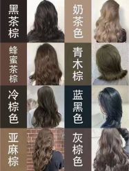 -YESIDO椰岛造型