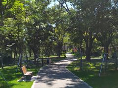 -金山公园