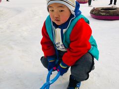 -1982农场