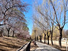 -元大都城垣遗址公园