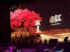 -赤红音乐现场(浦东金桥路店)