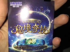 -珠海横琴长隆《卡卡虎奇遇记》