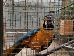 -南宫五洲植物乐园