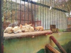 -昆明动物园