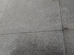 -世博源公馆·本帮融合菜·主题包厢·江景餐厅