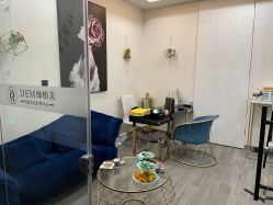 -DEM缔怡美科技美容