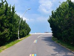 -日照海滨国家森林公园