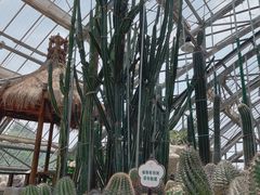 -南山植物园