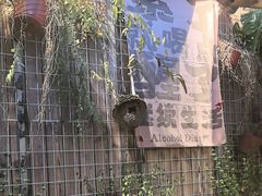 -贰醒·私房小院烧烤 (太古里店)