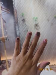 点击看大图 -LILY NAILS美甲美睫