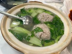 -丁老爷子苏香圆