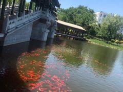 -西海子公园
