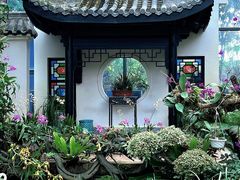 -东莞植物园