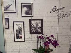 -泰康拜博口腔(世博园乐尔店)