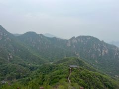 -大岭沟猕猴桃谷风景区