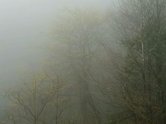 -浙东第一尖雪山欢乐谷