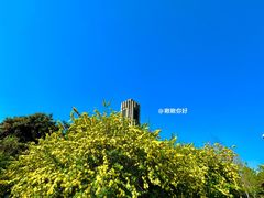 -北陵公园