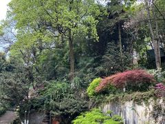 -南山植物园