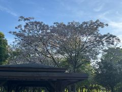 -白塘生态植物园