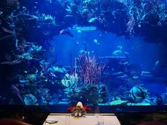 -迪拜帆船酒店海底餐厅