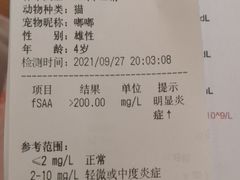 -爱侣宠医·鹦鹉专科·小型哺乳类·异宠专科(灵石路店)