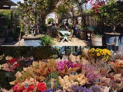 -The Grounds of Alexandria