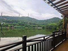 -梧桐庄园