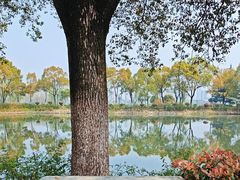 -金银湖国家城市湿地公园