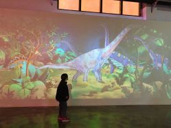 -恐龙探索乐园(磁器口店)