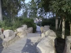 -兰山公园